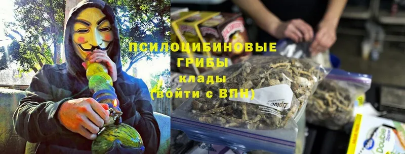 Псилоцибиновые грибы MAGIC MUSHROOMS  купить закладку  Сорочинск 